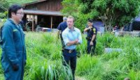 image Hawaii Five-0 season 5 episode 12