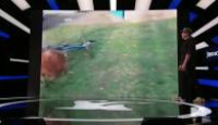 image Ridiculousness season 11 episode 34