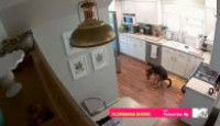 image Ridiculousness season 16 episode 19