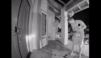 image Ridiculousness season 17 episode 33