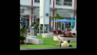 image Ridiculousness season 37 episode 21