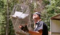 image Billy the Exterminator season 3 episode 11