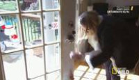 image Puppy Days season 1 episode 2
