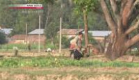 image Asia Insight season 7 episode 25