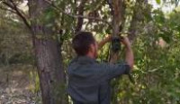 image Aussie Gold Hunters season 8 episode 4