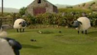 image Shaun the Sheep season 1 episode 37