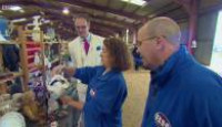 image Bargain Hunt season 52 episode 8