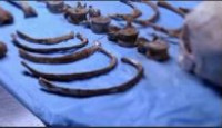 image Chandra Levy: An American Murder Mystery season 1 episode 2