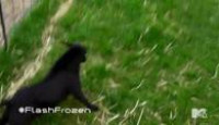 image Ridiculousness season 5 episode 7