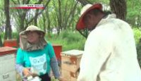 image Asia Insight season 5 episode 26