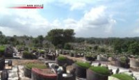 image Asia Insight season 5 episode 7