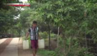 image Asia Insight season 6 episode 20