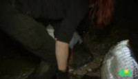 image Animal Cops: Houston season 10 episode 5