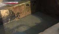 image Asia Insight season 7 episode 21