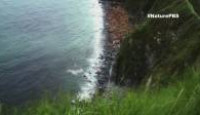 image Nature season 43 episode 14