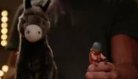 image Hawaii Five-0 season 8 episode 11