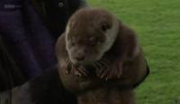 image Simon King's Shetland Diaries season 1 episode 2