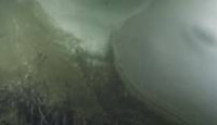 image 300 Million Years season 1 episode 2