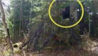 image Paranormal Caught on Camera season 4 episode 16