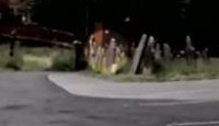 image Paranormal Caught on Camera season 4 episode 19
