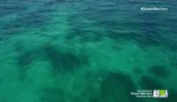 image Ocean Warriors season 1 episode 1