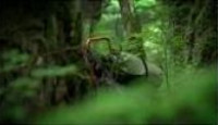 image Port Protection season 4 episode 5