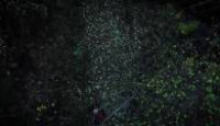 image Port Protection season 5 episode 1