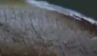image Port Protection season 7 episode 8