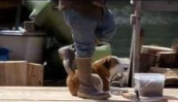 image Port Protection season 9 episode 4