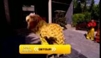 image The Amazing Race Australia season 1 episode 3