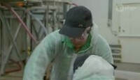 image The Amazing Race Australia season 5 episode 17