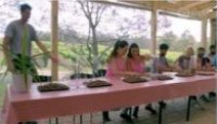 image The Amazing Race Australia season 5 episode 19