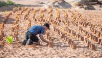 image The Amazing Race Australia season 6 episode 21