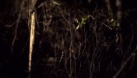 image Expedition X season 10 episode 9
