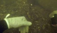 image River Hunters season 1 episode 7