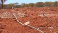 image Aussie Gold Hunters season 3 episode 8
