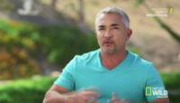 image Cesar 911 season 2 episode 2