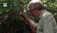 image The Curse of Oak Island season 3 episode 5