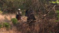 image The Amazing Race season 30 episode 7