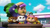 image Paw Patrol season 4 episode 4