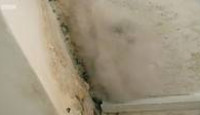 image Homes Under the Hammer season 20 episode 59