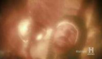 image The Curse of Oak Island season 4 episode 12