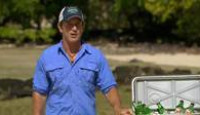image Survivor season 24 episode 8