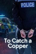 To Catch a Copper