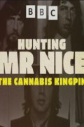 Hunting Mr Nice: The Cannabis Kingpin