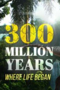 300 Million Years