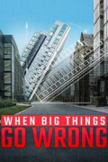 When Big Things Go Wrong