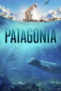 Patagonia: Life on the Edge of the World