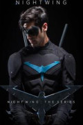 Nightwing: The Series