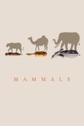 Mammals (2024)
